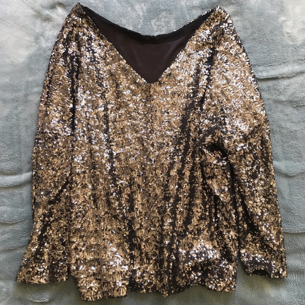 Zara sequin top